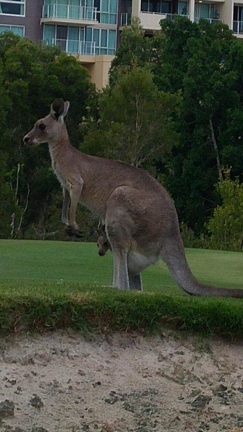 T On Course - Accommodation Broome 3