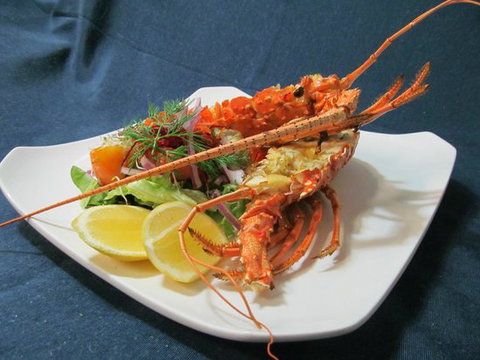 Bushland Beach Tavern - Accommodation Broome 4