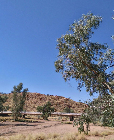 Bean Tree Cafe - Accommodation Broome 3