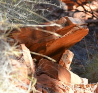 Under A Desert Moon - Accommodation Broome