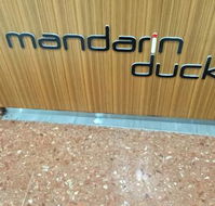 Mandarin Duck - Accommodation Broome