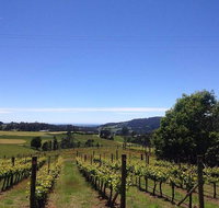 Barringwood Vineyard and Cellar Door Restaurant - Accommodation Broome