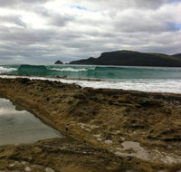 Bruny Island Berry Farm - Accommodation Broome