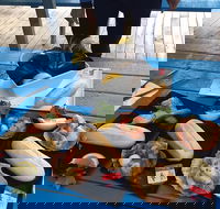 Freycinet Marine Farm - Accommodation Broome