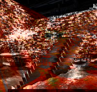 Hazards Brewing Coffee Co - Accommodation Broome