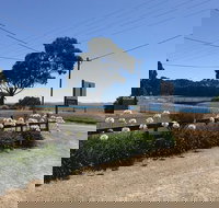 Penguin  Pardalote Coffee House - Accommodation Broome