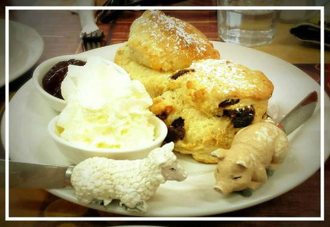 Sticky Beaks Cafe Longford Tasmania - Accommodation Broome 0