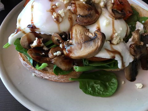 Hedgehogs Cafe - Accommodation Broome 0