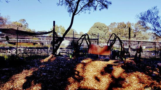 Hazelmere WA Accommodation Broome