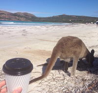 Lucky Bean - Accommodation Broome