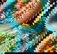 Black Bird - Accommodation Broome