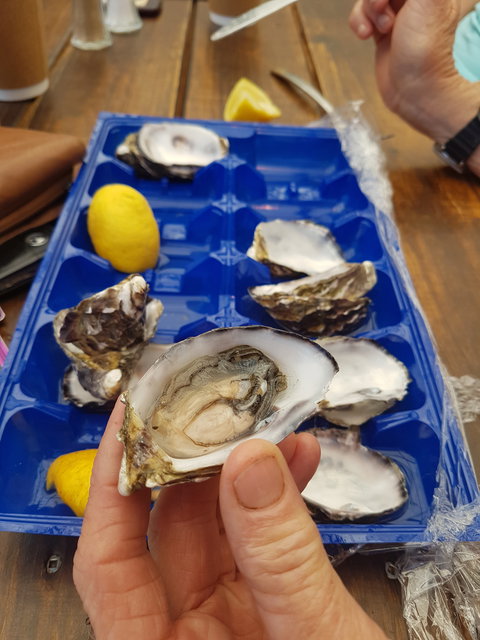 Beachcomber - Accommodation Broome 3