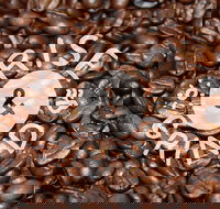 Qahwa Espresso Bar and Coffee Roasters - Accommodation Broome