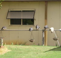 Sandy Grove - Accommodation Broome