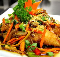 Coriander Thai Cuisine - Accommodation Broome