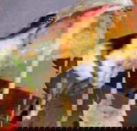 A Taste Of Africa Maleny - Accommodation Broome