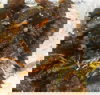 Diamond Chinese Take Away Foods - Accommodation Broome