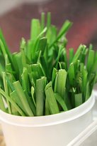 Sala Thai - Accommodation Broome 3