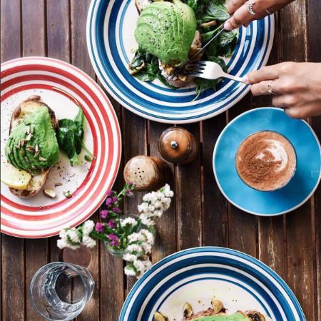 The Early Bird - Accommodation Broome 0