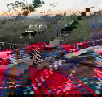 Bunnyconnellen Olive Grove  Vineyard - Accommodation Broome