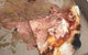 SCUGNIZZO - thumb 3
