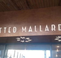 Spotted Mallard - Accommodation Broome