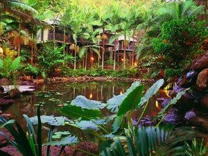 Daintree Eco Lodge & Spa - Accommodation Broome 0