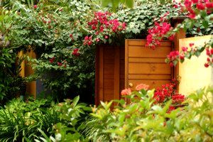 Pink Flamingo - Accommodation Broome 0