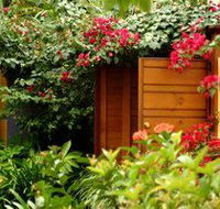 Pink Flamingo - Accommodation Broome