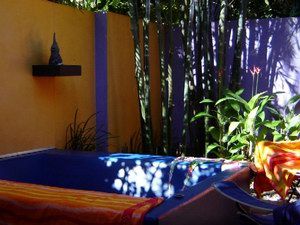 Pink Flamingo - Accommodation Broome 1