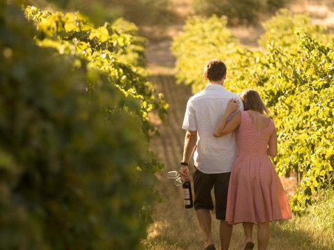 Novotel Barossa Valley Resort - Accommodation Broome 1