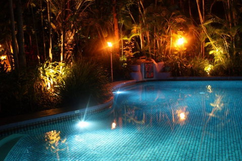 Pink Flamingo - Accommodation Broome 2