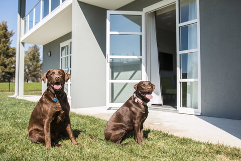 Abode Narrabundah - Accommodation Broome 20