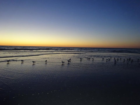 Selene Holiday Apartment @West Beach - Accommodation Broome 6