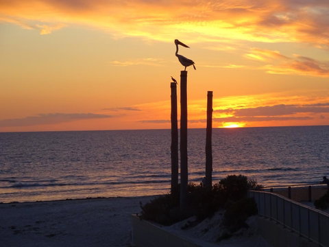 Selene Holiday Apartment @West Beach - Accommodation Broome 2