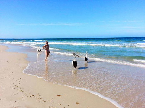 Atlantic West Beach Apartments - Accommodation Broome 22