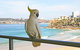 Beachfront Bliss - thumb 23