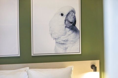Nightcap At Exeter Hotel - Accommodation Broome 12