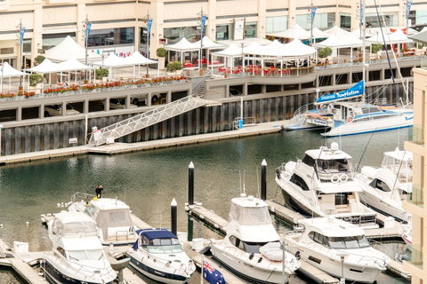 Beachside Luxury & Comfort, Ocean Views In Glenelg - Accommodation Broome 6