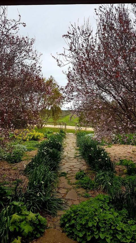 D2 At Watervale - Accommodation Broome 4