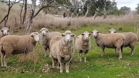 D2 At Watervale - Accommodation Broome 24