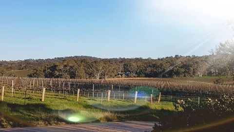 D2 At Watervale - Accommodation Broome 23