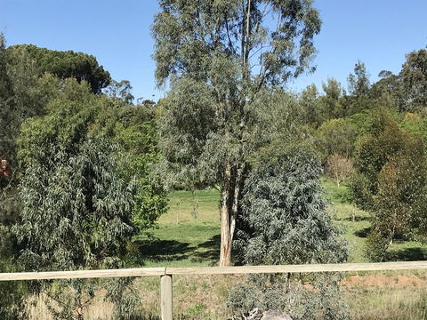 Adagio In Auburn - Accommodation Broome 25