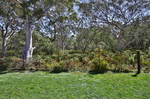 Wildwood I Pet Friendly I 5 Mins To Beach - Accommodation Broome 17