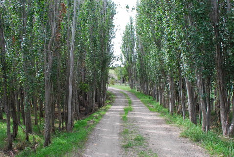 Back Valley Farmstay Bed And Breakfast - Accommodation Broome 2