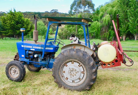 Back Valley Farmstay Bed And Breakfast - Accommodation Broome 14
