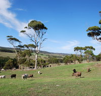 Lisieux Farm Bed and Breakfast - Accommodation Broome