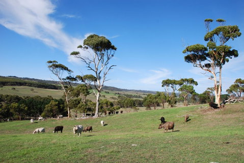 Back Valley Farmstay Bed And Breakfast - Accommodation Broome 0