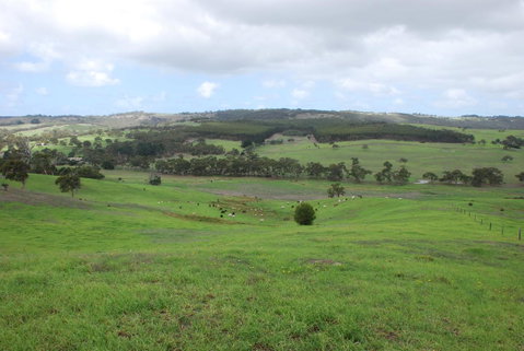 Back Valley Farmstay Bed And Breakfast - Accommodation Broome 15