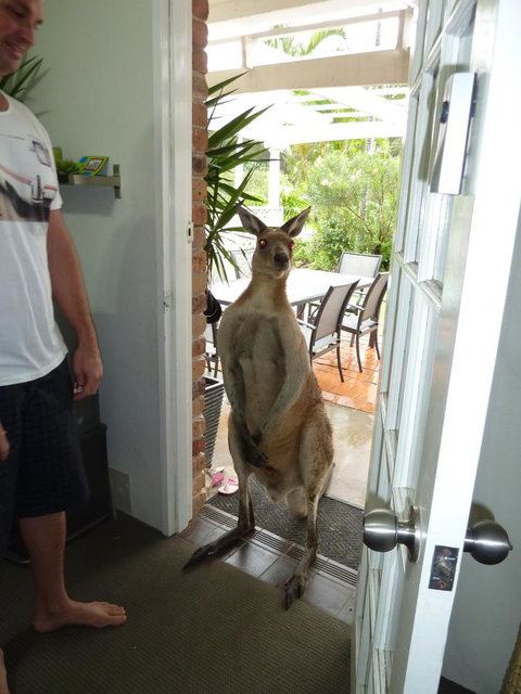 Aston Motel Yamba - Accommodation Broome 10
